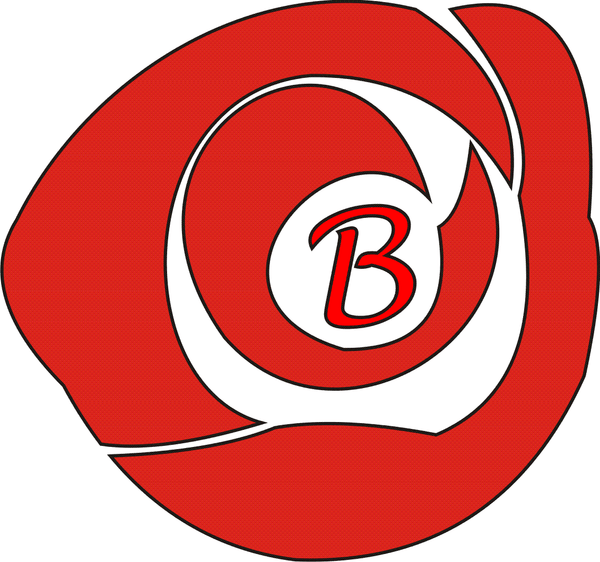 Boydell Sport